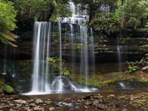 Russell Falls, Mount Field National Park (Tasmania, Australia)