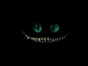 An evil cat in the dark