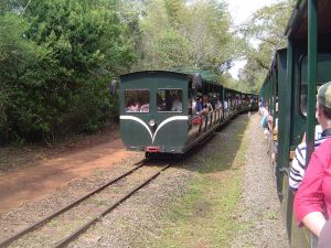 Ecological jungle train, in the Iguazu National Park (Argentina)