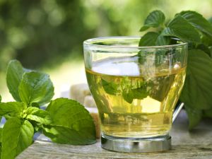 Infusion of tea with spearmint