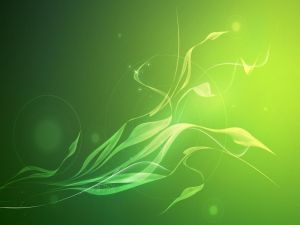 Abstract green leaves