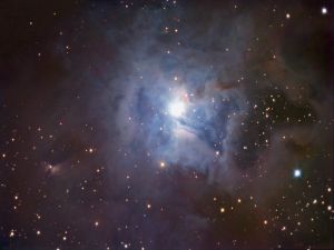 Iris Nebula (NGC 7023)