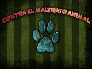 Against animal abuse