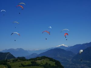 Paragliders in the sky