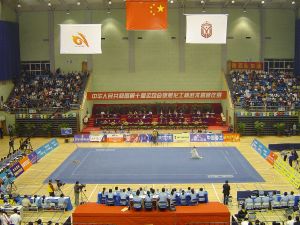 Wushu Competition