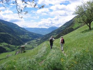 Hiking along the path "Meraner Höhenweg", at south of Tyrol