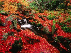 Waterfalls in autumn
