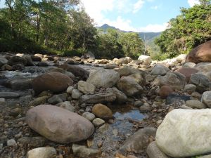 Stones on the banks of the Cumbaza River, Tarapoto, Peru