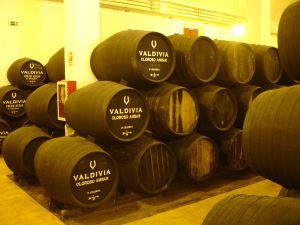 Interior of a winery in Jerez de la Frontera, Spain
