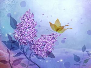 Butterfly and lilacs