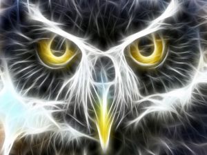 Abstract owl