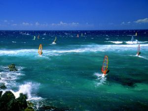 Sea full of windsurfers