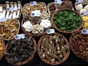 Baskets with various types of edible mushrooms