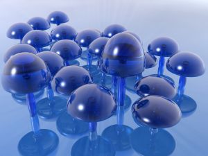Blue mushrooms