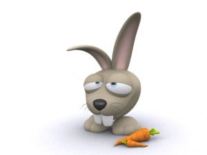 3D Rabbit