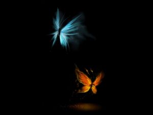 Butterflies of light and fire