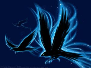 Magical ravens