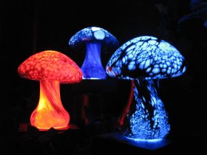 Luminous mushrooms
