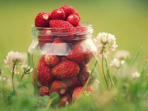 Jar with strawberries