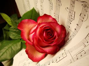 Rose over a sheet music
