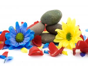 Flowers and stones