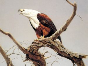 A painted eagle