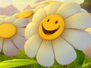 Smiley daisy