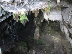 Inside the cave of Pindal, Ribadedeva, Asturias