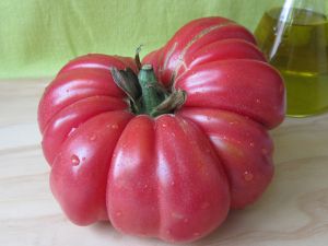 A big ripe tomato