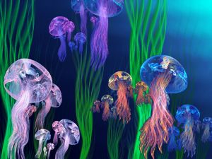 Jellyfish in various colors