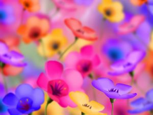 Pretty colorful flowers