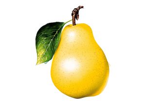A yellow pear