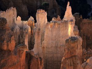 Fairy chimneys in the Bryce Canyon National Park