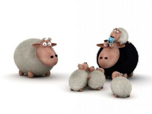 Sheep family