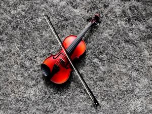 Violin in the grass