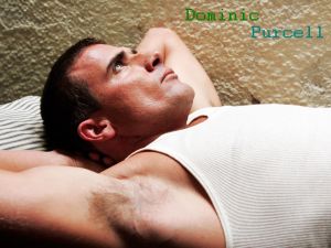 Dominic Purcell in t shirt