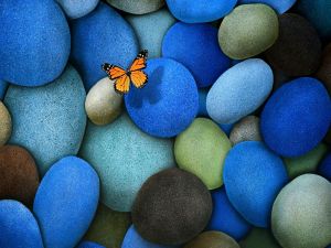 Butterfly flying over colored stones