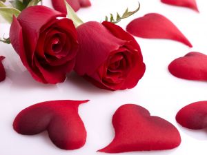 Rose petal hearts