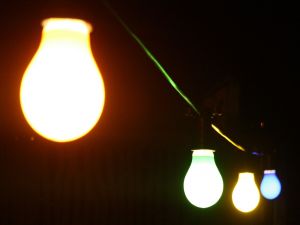 Bulbs giving light
