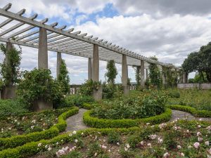 The rose garden and the pergola (France)