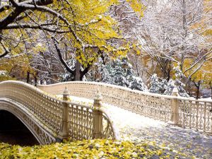 Bridge with leaves and snow