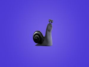 Snail with blue background