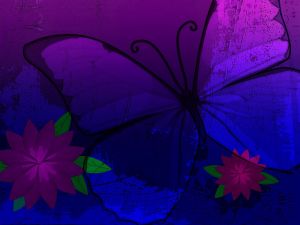 Butterfly in mauve tones