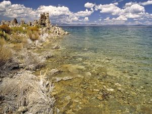 Mono Lakeshore (California, U.S.)