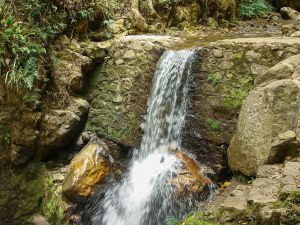 Mérida Waterfall (Venezuela)