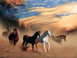Wild horses running free