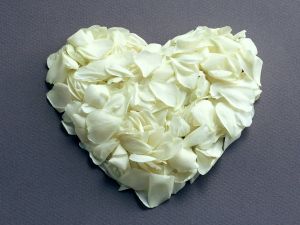 Heart with flower petals