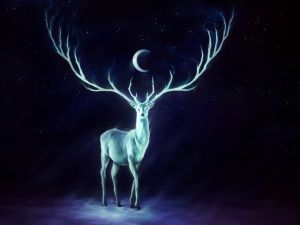 Night deer