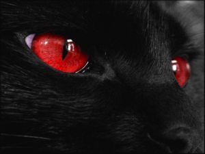 Black cat with red eyes