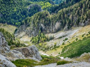 The south slope of Schneeberg, Austria